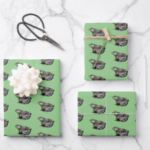 Hoja De Papel De Regalo Big Old Bullfrog Animal Nature