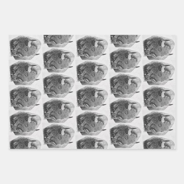 Hoja De Papel De Regalo Bisonte Americano (Anverso)