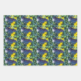 Hoja De Papel De Regalo Black Swallowtail en flores amarillas