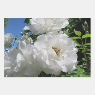 Hoja De Papel De Regalo blanco,rosa,elegante,vintage,floral,flores,románti