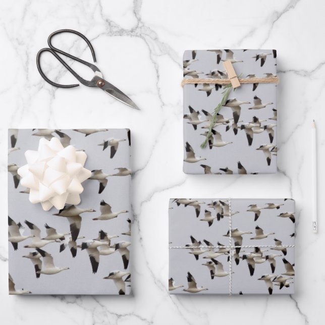 Hoja De Papel De Regalo Bloque de gansos en vuelo (Anverso)