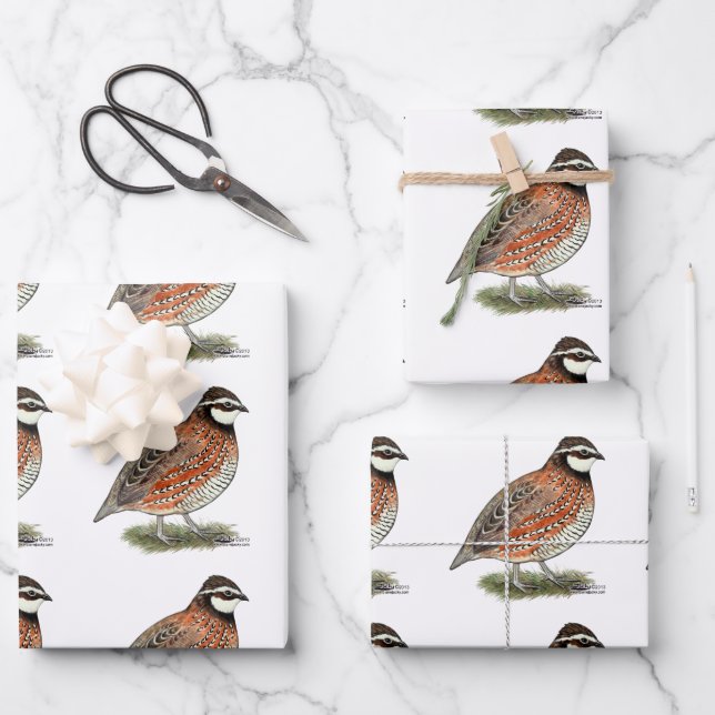 Hoja De Papel De Regalo Bobwhite Quail Rooster (Anverso)