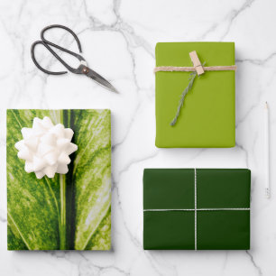 Hoja De Papel De Regalo Bolsa de regalo grande y ecológica viva