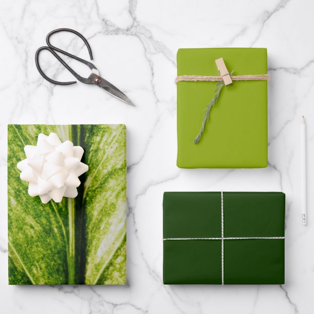 Hoja De Papel De Regalo Bolsa de regalo grande y ecológica viva (Anverso)