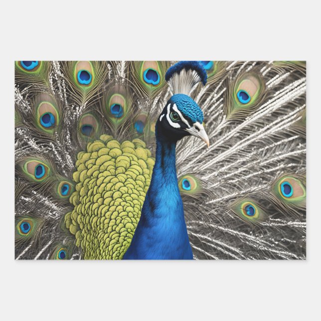 Hoja De Papel De Regalo Bonito Peacock (Anverso)