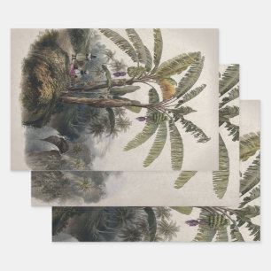 Hoja De Papel De Regalo Bosque de árboles plásticos tropicales antiguos   