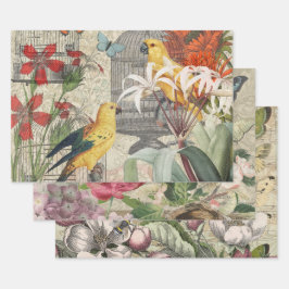 Hoja De Papel De Regalo Botánico Vintage Pájaro Naturaleza Antiguo Tropica