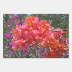 Hoja De Papel De Regalo Buganvilla floral tropical rosa de la isla