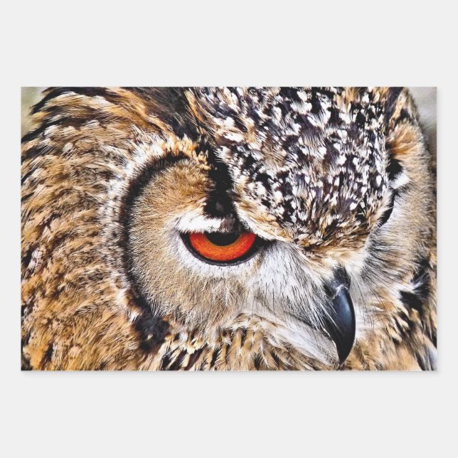 HOJA DE PAPEL DE REGALO BÚHO (Anverso)