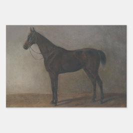 Hoja De Papel De Regalo Caballo castrado bayo (por Albrecht Adam)
