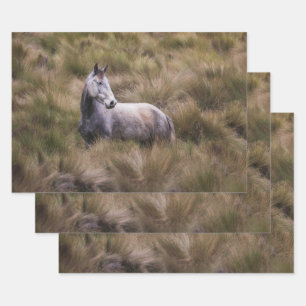 Hoja De Papel De Regalo Caballo gris hermoso