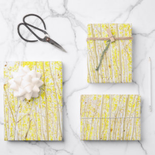 Hoja De Papel De Regalo Cake Aspen