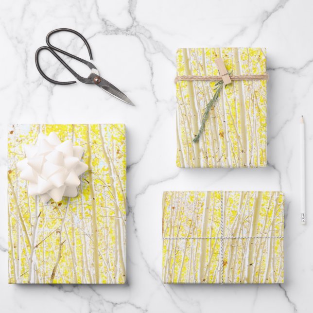 Hoja De Papel De Regalo Cake Aspen (Anverso)