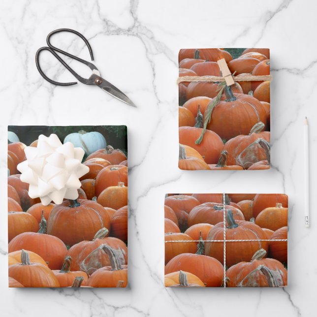 Hoja De Papel De Regalo Calabazas y Mamáes Fotografía de la cosecha de oto (Anverso)