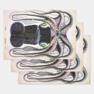 Hoja De Papel De Regalo Calamar u pulpo gigante vintage, animal marino