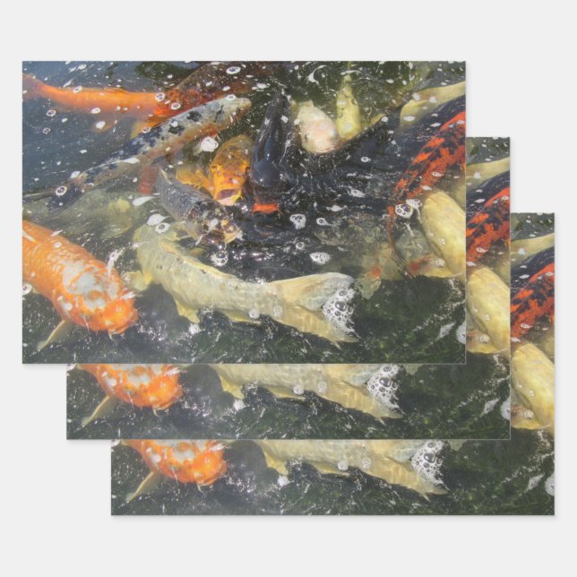Hoja De Papel De Regalo Carpa japonesa Koi Pescado Nadando (Set)