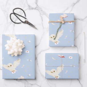 Hoja De Papel De Regalo Cartas y Libros Patrón de Correo de Búho Hedwig