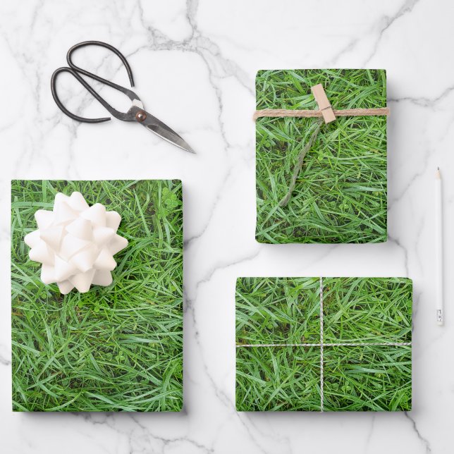 Hoja De Papel De Regalo Césped Verde (Anverso)
