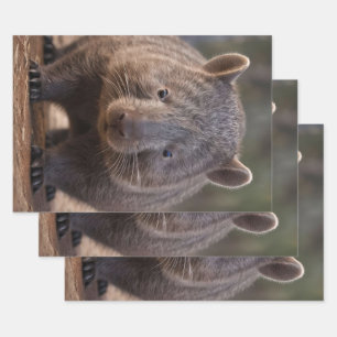 Hoja De Papel De Regalo Chubby The Australian Wombat,