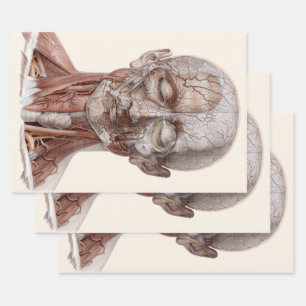 Hoja De Papel De Regalo Ciencia de anatomía humana antigua, cabeza gargant