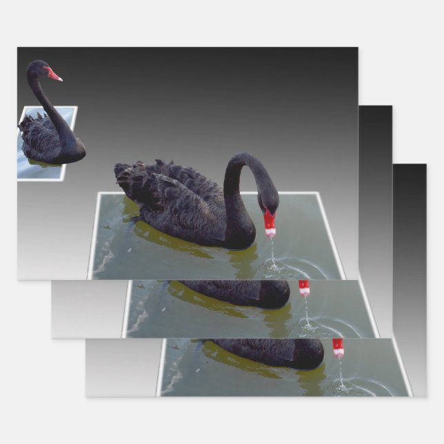 Hoja De Papel De Regalo Cisnes Negros En Estanques, Envoltura De Regalo, H (Set)