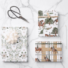 Clásico de Caballo Ecuestre