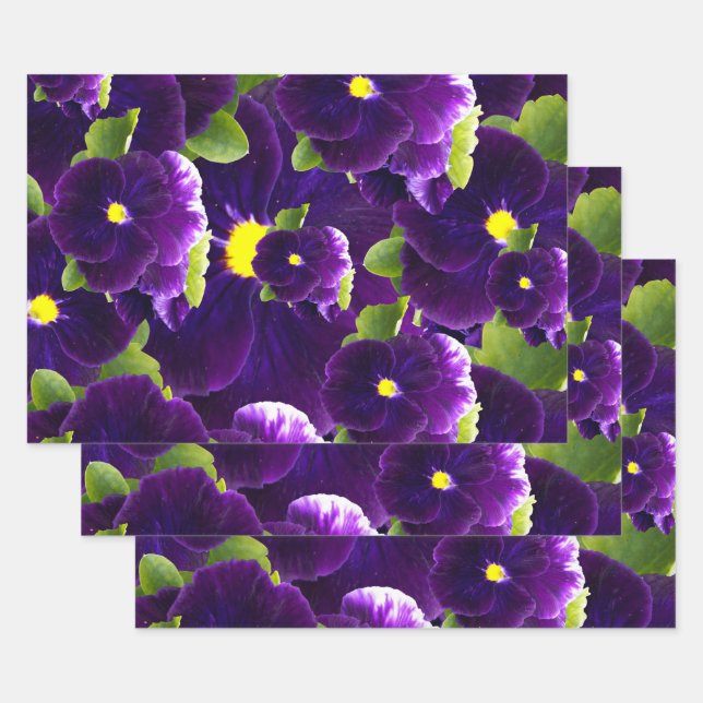 Hoja De Papel De Regalo Clusters de Pansy Púrpura Profundo: Belleza Majest (Set)