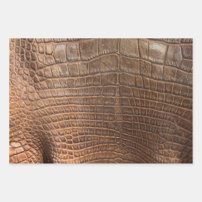 Hoja De Papel De Regalo Cocodrilo lagarto de cocodrilo de alligator (Anverso 3)