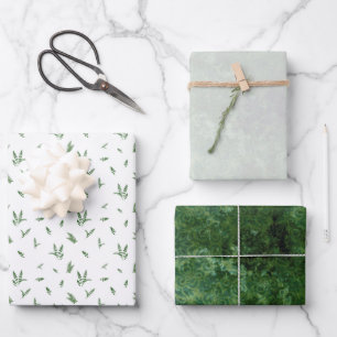 Hoja De Papel De Regalo Colección Forrest Green
