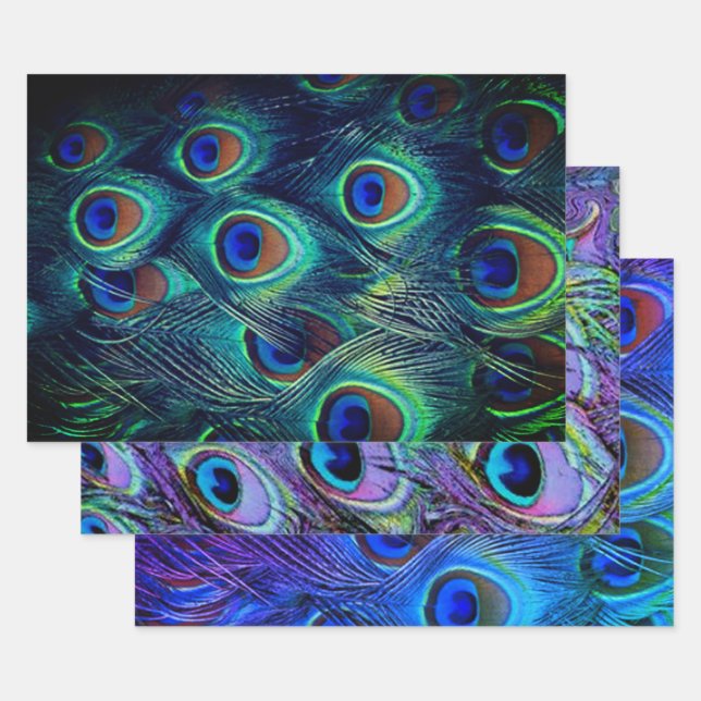 Hoja De Papel De Regalo Colección Peacock Feathers (Set)