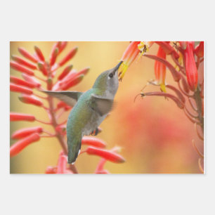 Hoja De Papel De Regalo Colibrí rodeada de yuca roja