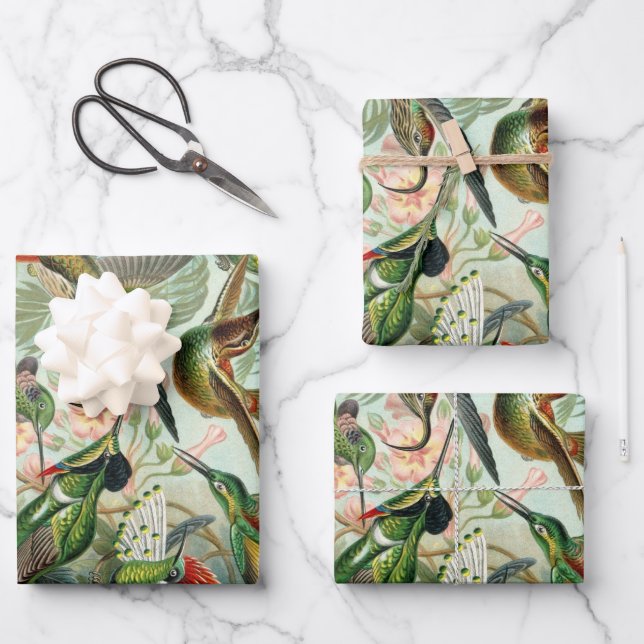 Hoja De Papel De Regalo Colibríes de Ernst Haeckel, aves vitícolas (Anverso)