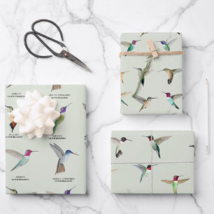 Hoja De Papel De Regalo Colibríes de Norteamérica