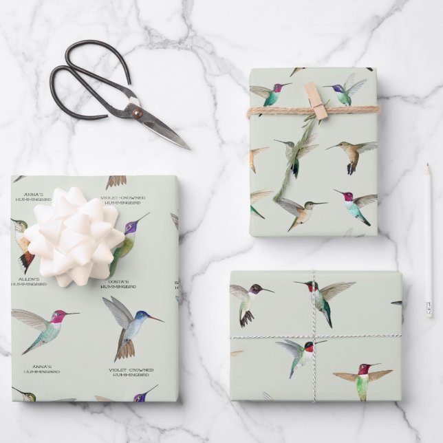 Hoja De Papel De Regalo Colibríes de Norteamérica (Anverso)