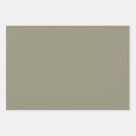Hoja De Papel De Regalo Color sólido color Minimalista color de tierra ver