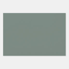 Hoja De Papel De Regalo Color sólido Minimalista Duste Gris Sage Verde