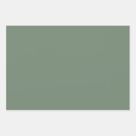 Hoja De Papel De Regalo Color sólido verde oliva insaturado Minimalista