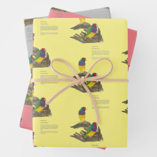 Hoja De Papel De Regalo Colorida Finch Gouldian Pintada A Mano
