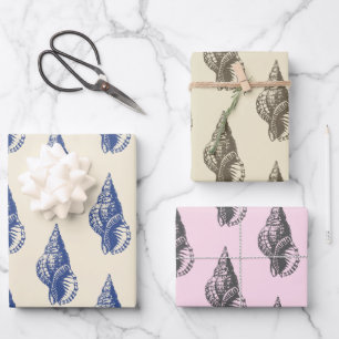 Hoja De Papel De Regalo Concha rosa rosada azul veneciana moderna