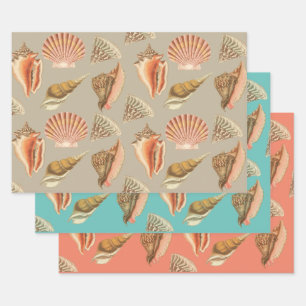 Hoja De Papel De Regalo conchas artísticas de estilo vintage