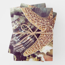 Hoja De Papel De Regalo Conchas de Playa