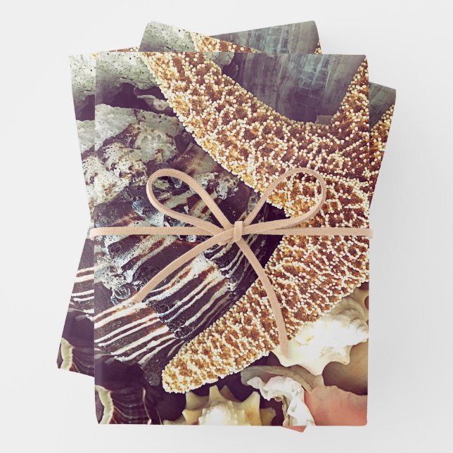 Hoja De Papel De Regalo Conchas de Playa (In situ)