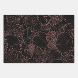 Hoja De Papel De Regalo conchas marinas: Esbozo de la Sepia Negra en la pl