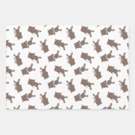 Hoja De Papel De Regalo Conejo Floral Niño Pascua