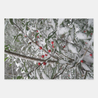 Hoja De Papel De Regalo Congelado