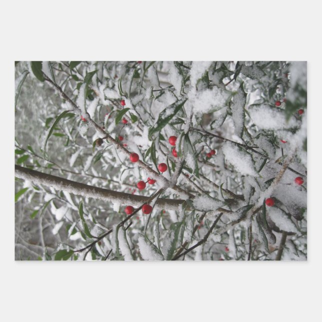 Hoja De Papel De Regalo Congelado (Anverso 3)