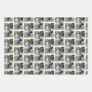 Hoja De Papel De Regalo Conjunto mixto