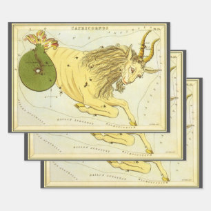 Hoja De Papel De Regalo Constelación Vintage Capricornio, Espejo de Urania