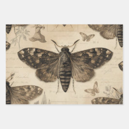 Hoja De Papel De Regalo Cottagecore Moon Moth Gothic Garden