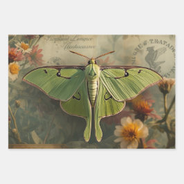 Hoja De Papel De Regalo Cottagecore Moon Moth Gothic Moon Moth Nocturne